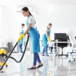 Professional Cleaning