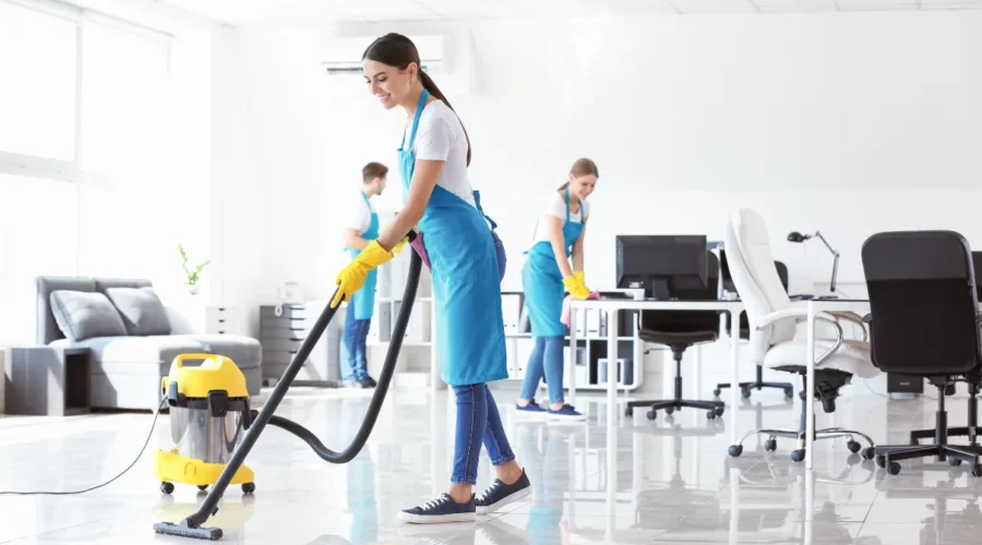Professional Cleaning