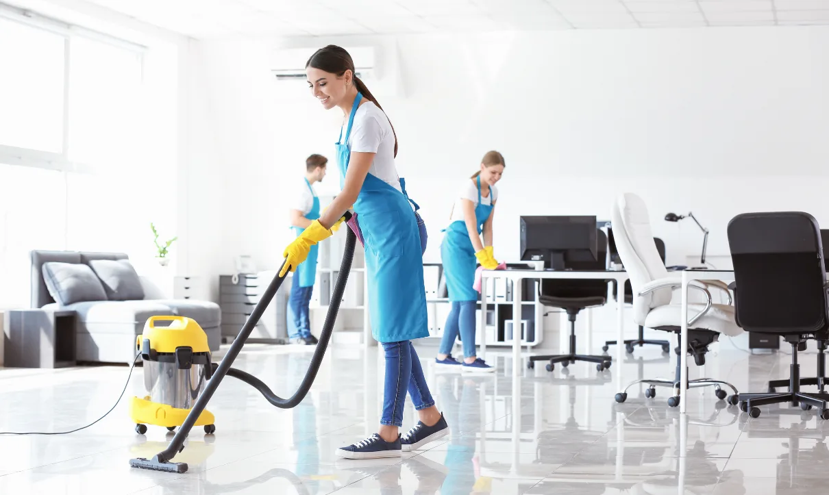 Professional Cleaning