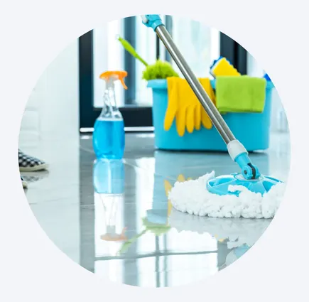 Weekly and Biweekly Cleaning